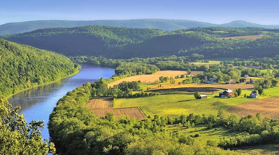 Local organic farm